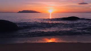 Get back into the Word - Carter Conlon