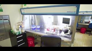 Cell Biology Virtual Lab: Learn Cell Culture Basics Online