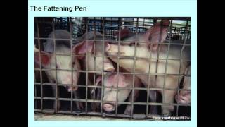 Part 6: Our Diet, Leading to a Sustainable Future, or Killing Our Planet? Animal Farming