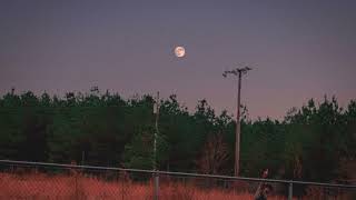 Astro Jvckson - Morning