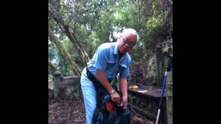 Serious Bush Bashing
