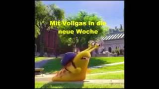 Schnecken in der Zukunft