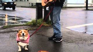 Copy of Busker in Glenwood, OR with singing Doggie