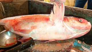 Super Fast Fish Cutting Skills By Expert Big Vireket Fish Cutter Video 2023 In BD Fish Market