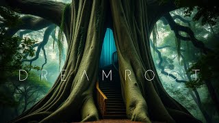 Dreamroot – Ethereal Ambient Music from the Heart of the Hollow Tree