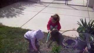 Playing at Mama's II