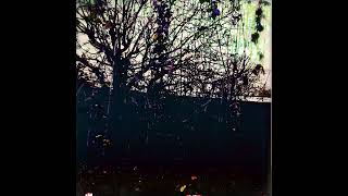 Nemo Nobody - "Son and Daughter" Instrumental Type Beat