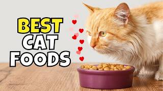 The Best Cat Foods of 2025, According to Experts