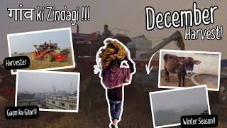 A Day In My Village Life :- गांव ki Zindagi !!!