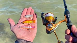 MICRO POPPER MADNESS!