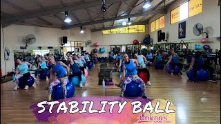 STABILITY BALL WORKOUT