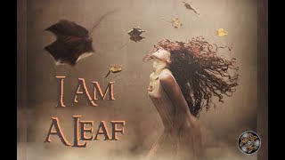 I am a leaf (warts n’ all) - Mike Q