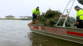 JP Christmas Tree Recycling Event