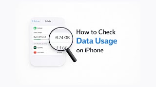 How to Check Data Usage on iPhone and Reset Data Use to Check For New Month