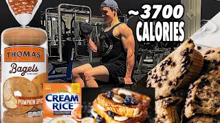 3,700 CALORIE REFEED DAY | SHOULDERS & ARMS!