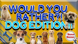 Would You Rather? Dog Edition! 🐶 This or That 🐶 Fun Fitness Games for Kids 🐶 GoNoodle 🐶 PE