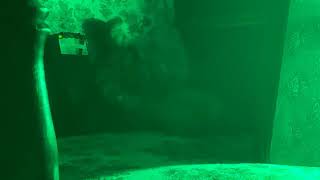 William the Haunted Doll - Live Feed with EMF Meter