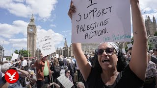 Live: Protest against Britain's decision to ban group Palestine Action