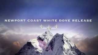 Number One White Dove Release Company in Portland