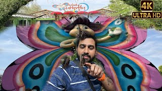 Dubai Butterfly Garden 4K in Tamil @DiviBlogs
