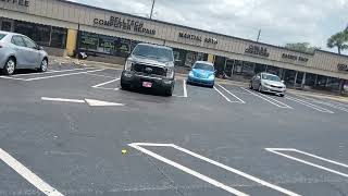 mcdonalds mcchicken vs seagulls