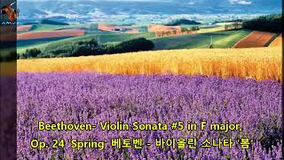 베토벤 바이올린 소나타 제5번 '봄'  F장조 작품 24번 Beethoven Violin Sonata No. 5 in F major Op. 24 'Spring' ♬맛있는클래식♬