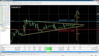 8.8 Forex Trading - Trading Using Real Money