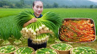 Harvested 500kg of onions, figs, rambutan, and cassava to sell at the market