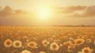 Happy New Day   Version 1