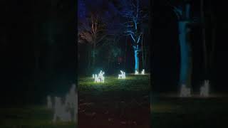 Luminate Christmas lights trail & illuminations at Sandringham Estate Norfolk UK