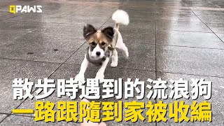 散步時遇到的流浪狗，一路跟隨到家門口，鼓起勇氣進家門，最終被收編，取名來福