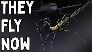 6 Animals You Never Knew Could Fly (and wish couldn't)