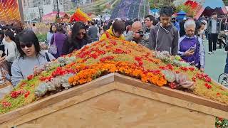 Amazing Flowers Show 2025 / Hongkong