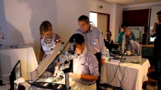 2012 Vienna Wetlab Video 3