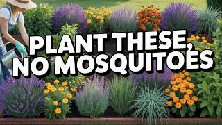 10 Plants That Naturally Keep Mosquitoes Away (THAT ACTUALLY WORK)