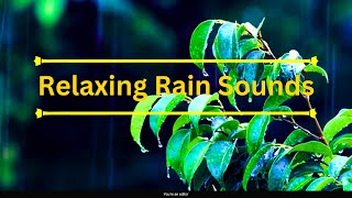 Kids Sensory Captivating Rain on Leaves ASMR: Close-Up Sounds for Deep Relaxation and Stress Relief"