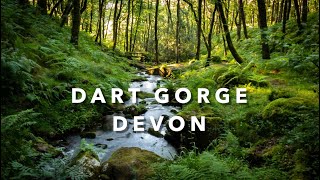 Dart Gorge, Dartmoor, cinematic short using a lumix FZ1000