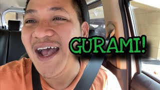 GURAMI
