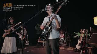 The Pleasantly Strange - Connection Cover