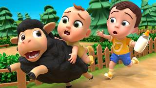 Funny HIDE & SEEK with Farm Animals! 🙈 Baa Baa Black Sheep Song | Newborn Baby Songs