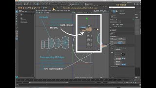 UV Layout