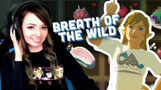 Breath of the Wild Subathon Highlights!