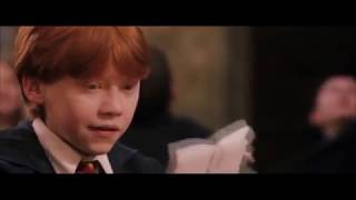 Surprise! Supplies from so many owls above Hogwarts School