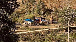 Nepal Holiday -khasi ko Masu kateko at my village .Mutton cutting & cooking mutton curry
