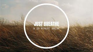 Just Breathe - 29 minutes of rustling wind