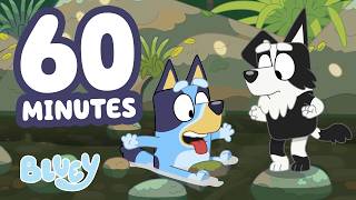 🔴LIVE: Bluey Slips! 😯 | The Creek + ONE HOUR Clips 💙 | Bluey