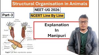 Structural Organisation in Animals || Part-3 || NCERT Line by Line #ncert #neet