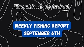 Fishing Report-September 6th- Neely Henry, Weiss, Logan Martin,Lay, Guntersville,Lake Martin,Jordan