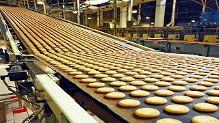 World Amazing Automatic Food Processing Machines Modern Food Processing Technology