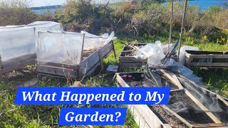 Garden Tour | Oh No, My Garden! | Strange Composting Worms